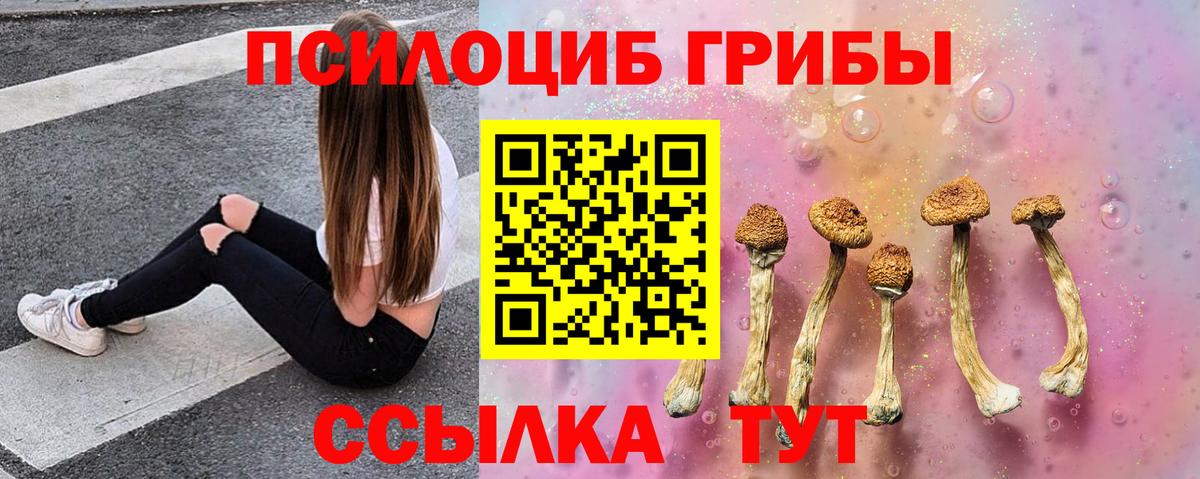 Галлюциногенные грибы мухоморы  Вход с VPN  Горно-Алтайск 